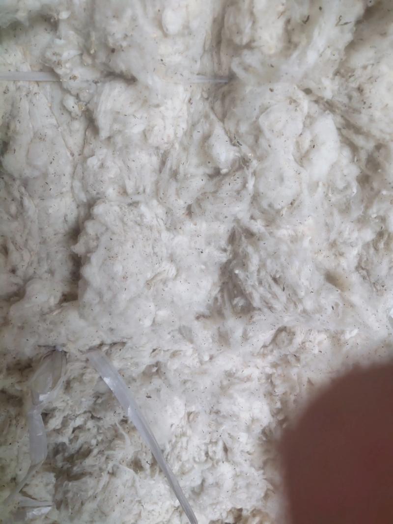 涤纶长丝：行业动态与市场前景