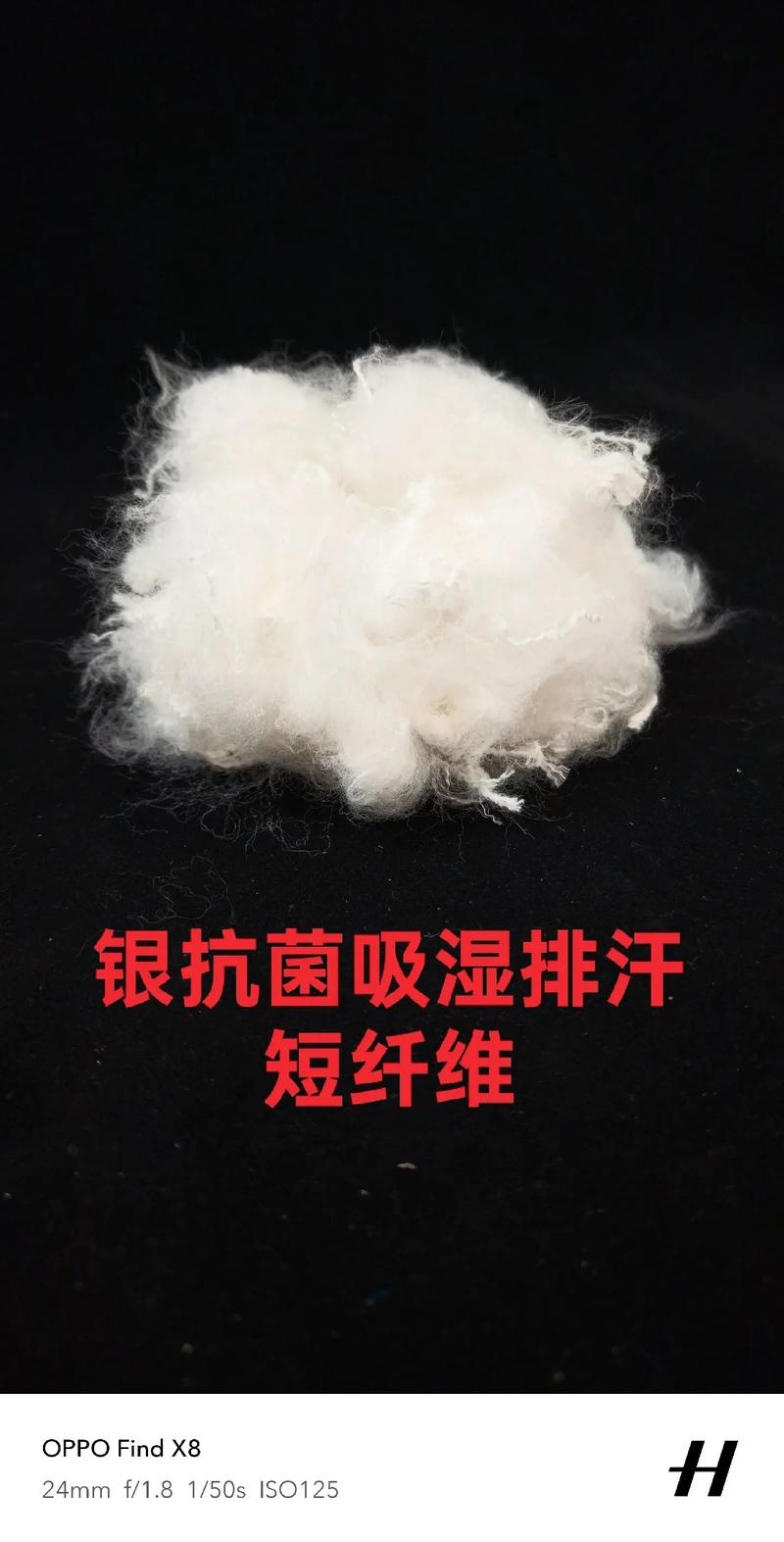 涤纶短纤的行业动态与发展趋势